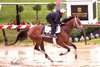 Journalism, Pimlico Race Course, May 14 2025