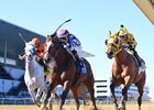 Whatchatalkinabout wins the 2025 John A. Nerud Stakes at Aqueduct Racetrack