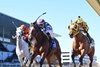 Whatchatalkinabout wins the 2025 John A. Nerud Stakes at Aqueduct Racetrack
