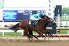 Piedra Preciosa, Maiden Win, Horseshoe Indianapolis, May 3 2025
First winner for Maxfield