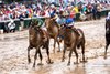 Mindframe and Irad Ortiz win Race 8, Churchill Downs Stakes, Churchill Downs, Louisville, KY, May 3, 2025, Mathea Kelley-Bloodhorse