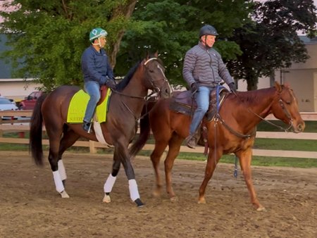 Assistant trainer Kenny McCarthy leads Sovereignty to the track for his first training session since winning the Kentucky Derby at Churchill Downs