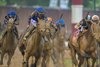 Sovereignty with Junior Alvarado wins the Kentucky Derby (G1 ) at Churchill Downs in Louisville, Ky., on May 3, 2025
