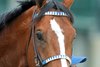 Mystik Dan wins the 2025 Blame Stakes at Churchill Downs