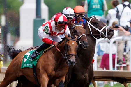 (L-R): Randomized, Thorpedo Anna, and Dorth Vader jostle for space entering the first turn of the La Troienne Stakes at Churchill Downs