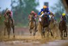 remote stretch
Sovereignty with Junior Alvarado wins the Kentucky Derby (G1 ) at Churchill Downs in Louisville, Ky., on May 3, 2025
