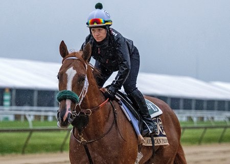 American Promise jogs May 13 at Pimlico Race Course