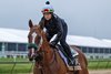 American Promise, Pimlico Race Course, May 13 2025