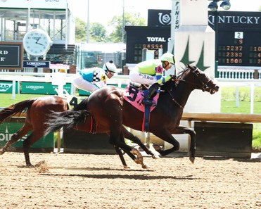 Longstridert Longstrider - Horse Profile - BloodHorse