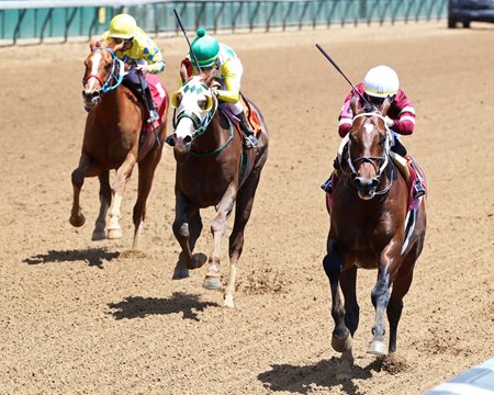 Spice Runner wins his debut at Churchill Downs