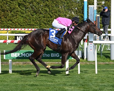 Deterministic wins the Fort Marcy Stakes at Aqueduct Racetrack