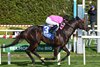 Deterministic wins the 2025 Fort Marcy Stakes at Aqueduct Racetrack