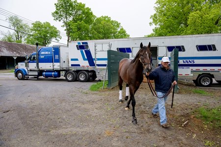 Hall of Fame trainer Bill Mott leads Sovereignty off the van as he arrives at Saratoga Race Course