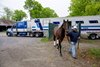 Kentucky Derby 151 winner Sovereignty arrived this morning May 8, 2025 with trainer Bill Mott leading him to the barn at the Oklahoma Training Center in Saratoga Springs, N.Y. to begin training for the Belmont Stakes in June.   Photo by Skip Dickstein