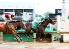 Goal Oriented, AOC, Churchill Downs, May 3 2025