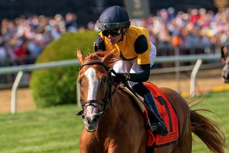 Reagan's Wit wins the James W. Murphy Stakes at Pimlico Race Course