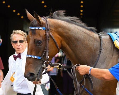 Thorpedo Anna in the paddock before the La Troienne Stakes at Churchill Downs