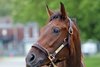 Burnham Square at Churchill Downs on May 1, 2025. Photo By: Chad B. Harmon