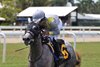 Lennilu wins the 2025 Royal Palm Juvenile Fillies Stakes at Gulfstream Park