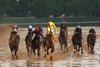 Komorebino Omoide (JPN) wins the 2025 Steve Sexton Mile Stakes at Lone Star Park