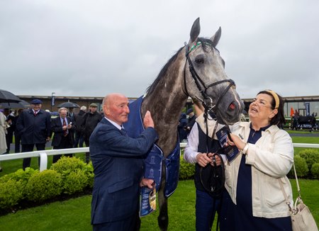 Field Of Gold after winning the Irish Two Thousand Guineas at the Curragh
