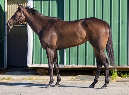 Regaled at Laurel Park