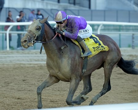 Hill Road wins the Peter Pan Stakes at Aqueduct Racetrack