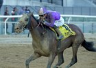 Hill Road wins the 2025 Peter Pan Stakes at Aqueduct Racetrack
