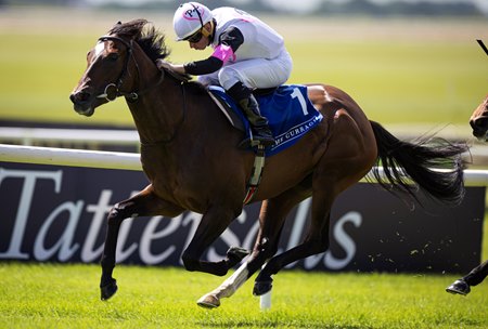Four-time group 1 winner Porta Fortuna will be sold at auction before any return to racing