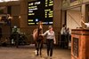 2025 Inglis Australian Weanling Sale, Lot 367