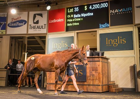 Sale-topping Bella Nipotina consigned as Lot 35 in the ring at the Inglis Chairman's Sale
