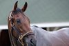 Burnham Square at Churchill Downs on May 1, 2025. Photo By: Chad B. Harmon