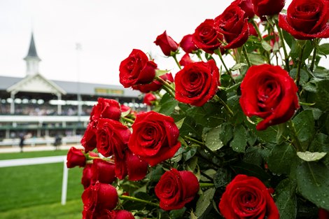 Racehorse Roses Before They Were Famous: Derby Contenders as Foals - Slideshow - BloodHorse