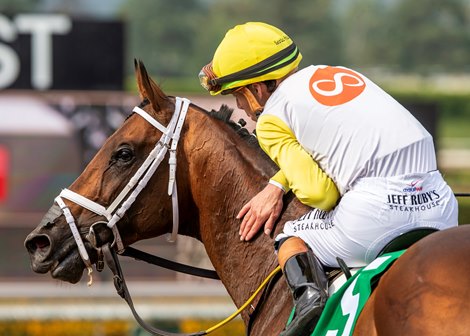 Skippylongstocking Seeks to Regroup in Harlan's Holiday