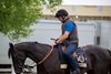 Heart of Honor heads to the track at Pimlico Race Course Thursday May 15, 2025 in Baltimore, MD..   Photo by Skip Dickstein