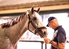 Sandman arrives at 2:30 a.m. May 13, 2025 at Pimlico ahead of the Preakness Stakes
