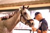 Sandman arrives at 2:30 a.m. May 13, 2025 at Pimlico ahead of the Preakness Stakes