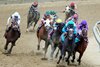Journalism wins the 2025 Preakness Stakes at Pimlico