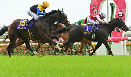 Kamunyak (No. 15) nails Arma Veloce (No. 1) to win the Yushun Himba (Japanese Oaks) at Tokyo Racecourse