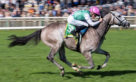 Field of Gold wins the Craven Stakes at Newmarket Racecourse