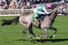 Field Of Gold (Kieran Shoemark) wins the Craven
Newmarket 16.4.25 Pic: Edward Whitaker