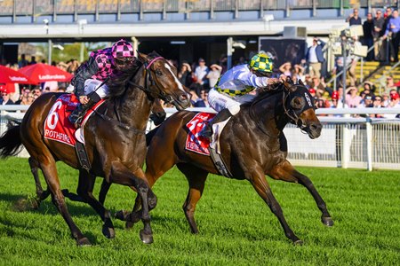 Sunshine In Paris hits the lead late and wins the Doomben Ten Thousand at Doomben Racecourse