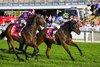 Sunshine In Paris wins the 2025 Doomben 10,000 at Doomben Racecourse
ridden by James McDonald and trained by Annabel &amp; Rob Archibald