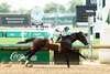 Excite, Maiden Win, Churchill Downs, May 31 2025