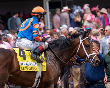 Fierceness following his victory in the Alysheba Stakes at Churchill Downs