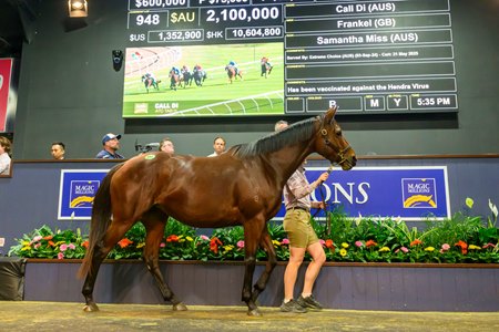 Call Di consigned as Lot 948 in the ring at the Magic Millions Gold Coast National Broodmare Sale