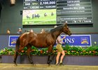 2025 Magic Millions Gold Coast National Broodmare Sale, Lot 948
Call Di
