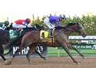 Hill Road wins the 2025 Peter Pan Stakes at Aqueduct Racetrack