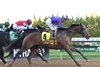Hill Road wins the 2025 Peter Pan Stakes at Aqueduct Racetrack