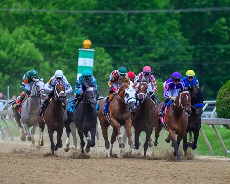 The field passes the stands for the first time in the Preakness Stakes at Pimlico Race Course